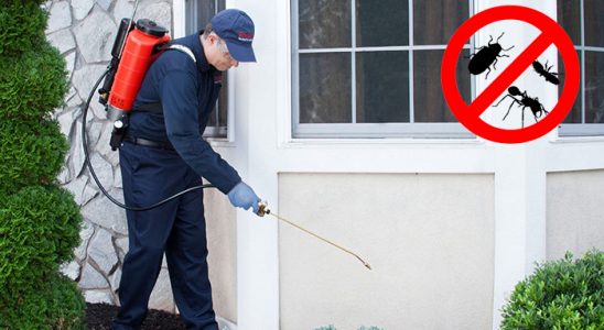 Yerköy Pire İlaçlama böcek ilaçlama ve haşere kontrolü — ilaclama-tr.com
